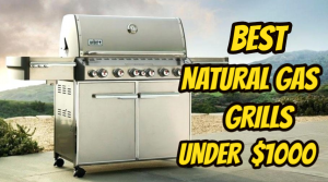 Best Natural Gas Grill under $1000